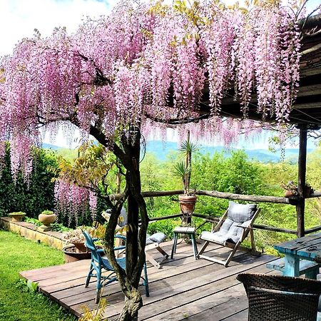 Tuscan Hills - Stonehouse, Garden & Pool Vicchio Kültér fotó