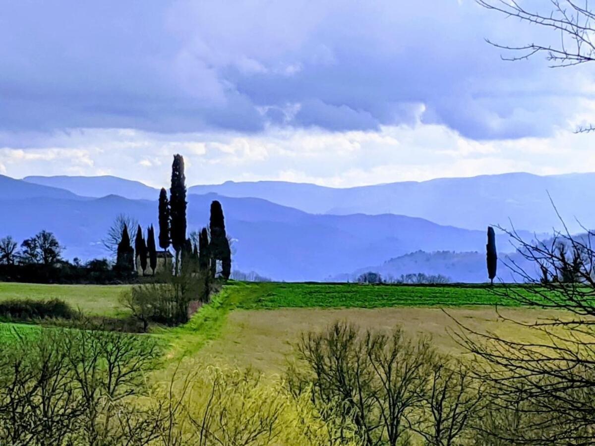 Tuscan Hills - Stonehouse, Garden & Pool Vicchio Kültér fotó