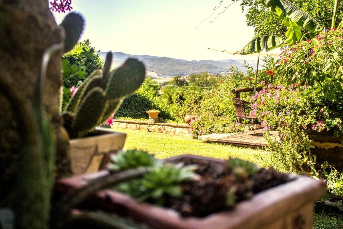 Tuscan Hills - Stonehouse, Garden & Pool Vicchio Kültér fotó