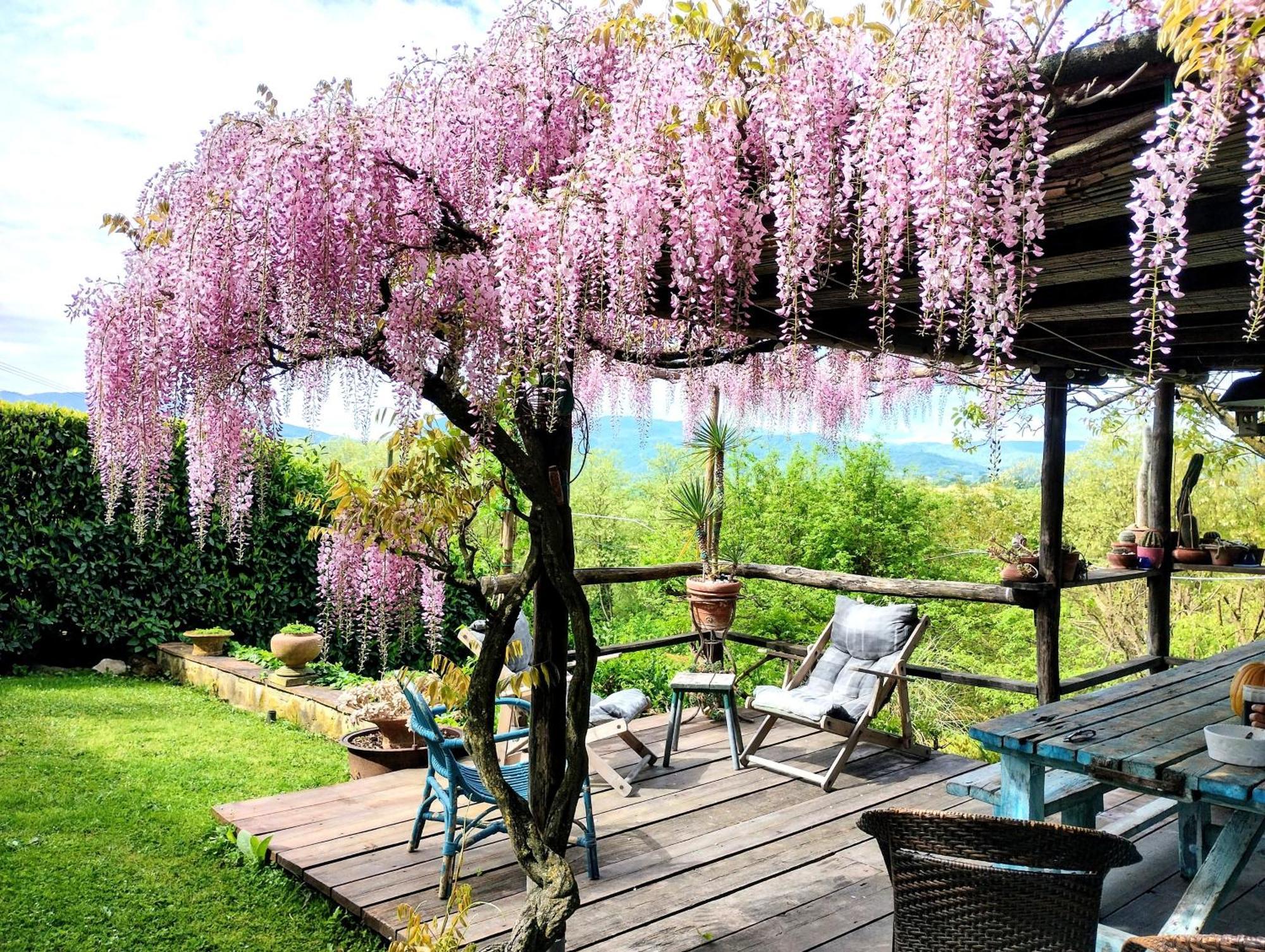 Tuscan Hills - Stonehouse, Garden & Pool Vicchio Kültér fotó